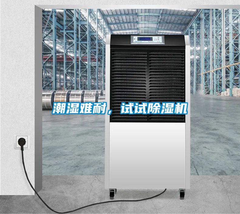 潮湿难耐，试试除湿机