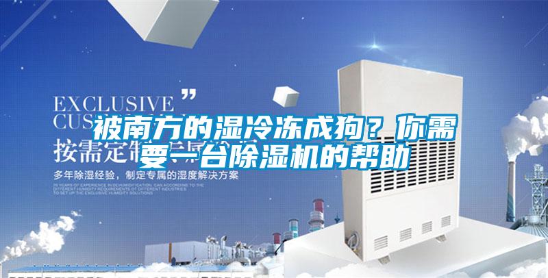被南方的湿冷冻成狗？你需要一台除湿机的帮助