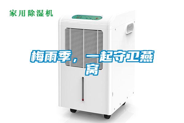 梅雨季，一起守卫燕窝