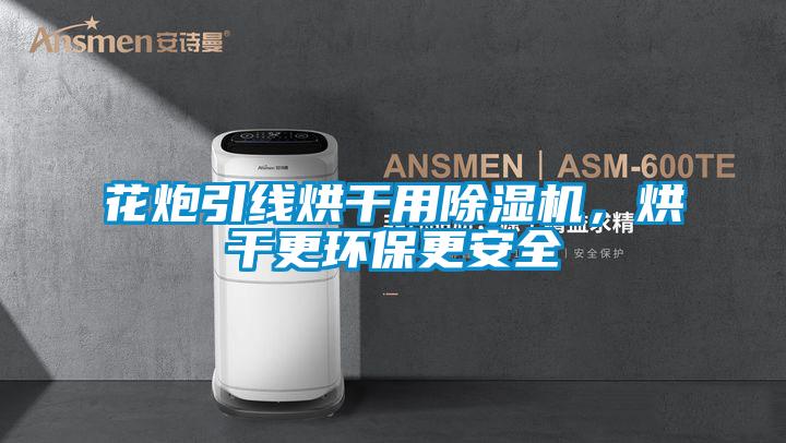 花炮引线烘干用除湿机，烘干更环保更安全