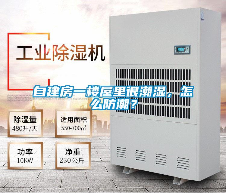 自建房一楼屋里很潮湿，怎么防潮？