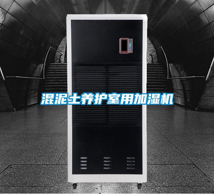 混泥土养护室用加湿机