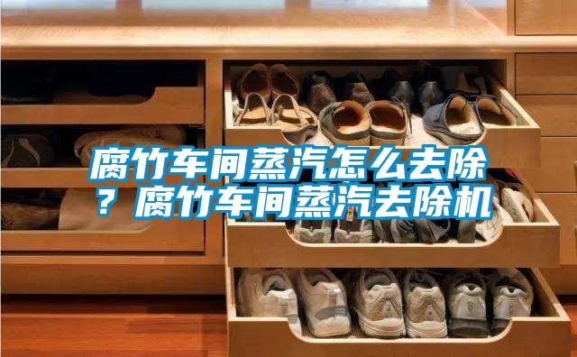 腐竹车间蒸汽怎么去除？腐竹车间蒸汽去除机