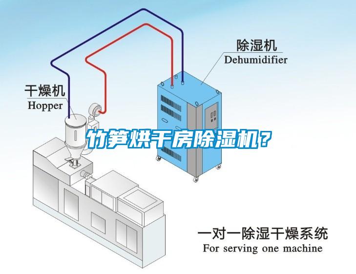 竹笋烘干房除湿机？