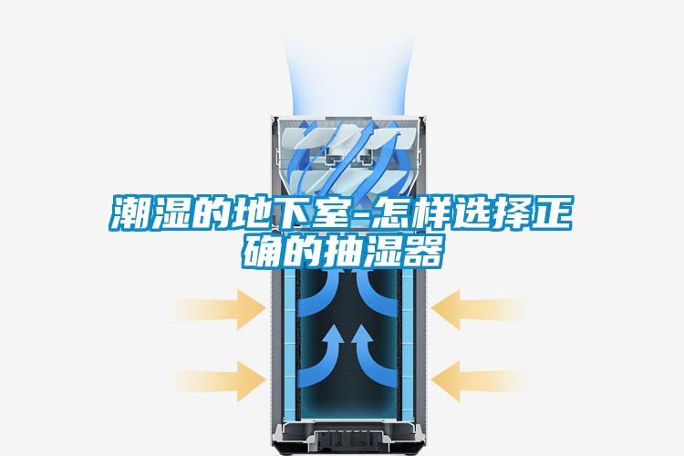 潮湿的地下室-怎样选择正确的抽湿器