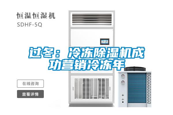 过冬:冷冻除湿机成功营销冷冻年