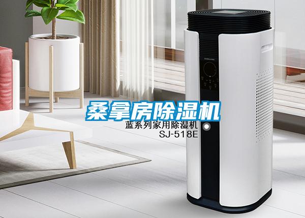 桑拿房除湿机