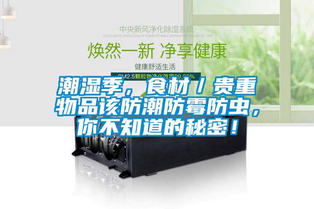 潮湿季，食材／贵重物品该防潮防霉防虫，你不知道的秘密！