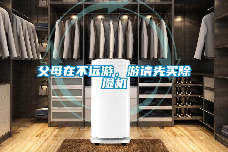 父母在不远游，游请先买除湿机
