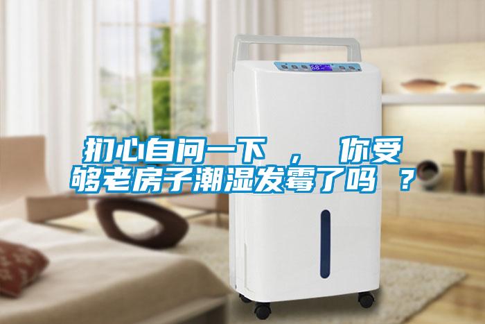 扪心自问一下 ， 你受够老房子潮湿发霉了吗 ？