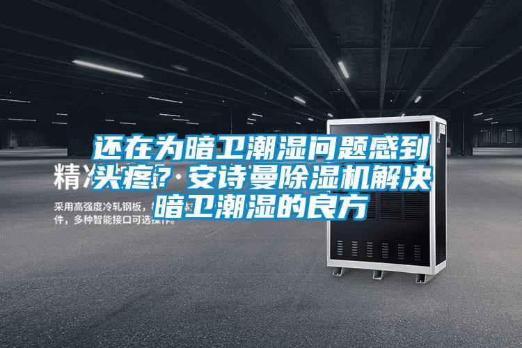 还在为暗卫潮湿问题感到头疼？安诗曼除湿机解决暗卫潮湿的良方