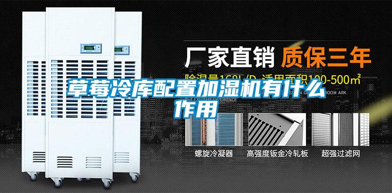 草莓冷库配置加湿机有什么作用