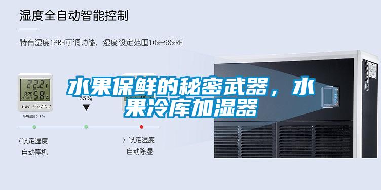 水果保鲜的秘密武器，水果冷库加湿器