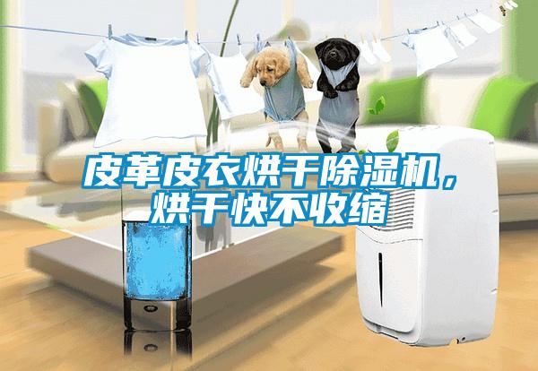 皮革皮衣烘干除湿机，烘干快不收缩