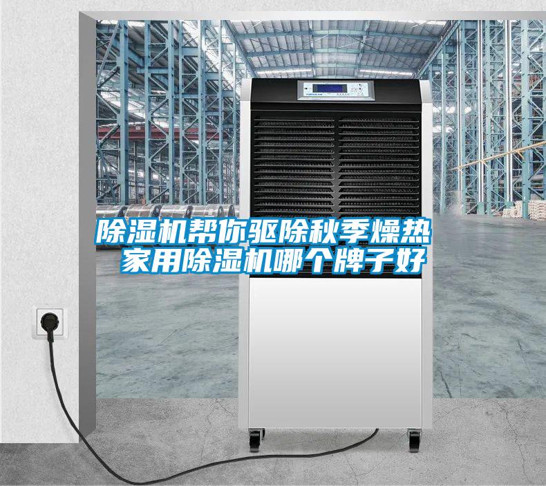 除湿机帮你驱除秋季燥热 家用除湿机哪个牌子好