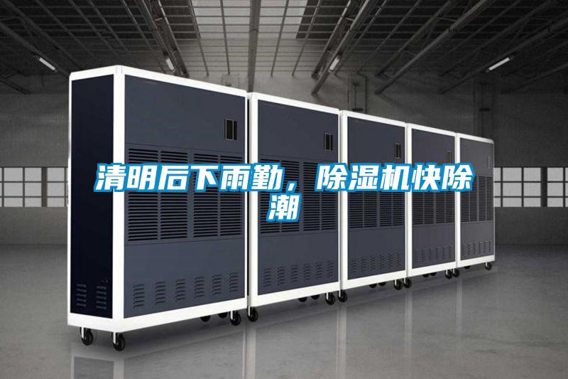 清明后下雨勤，除湿机快除潮