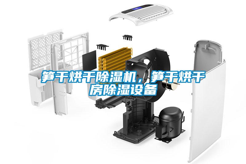 笋干烘干除湿机，笋干烘干房除湿设备