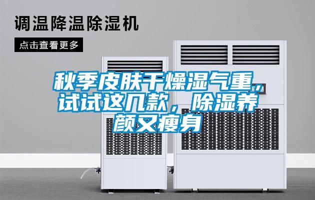 秋季皮肤干燥湿气重，试试这几款，除湿养颜又瘦身