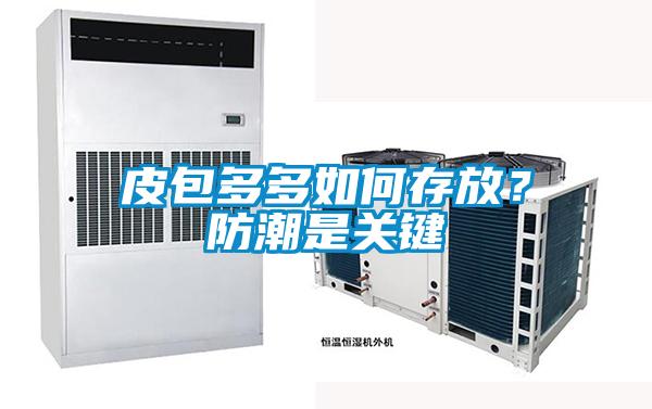 皮包多多如何存放？防潮是关键