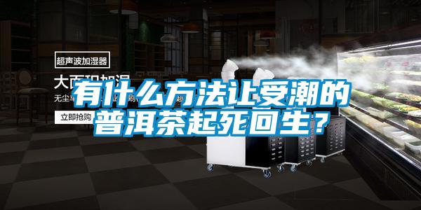 有什么方法让受潮的普洱茶起死回生？