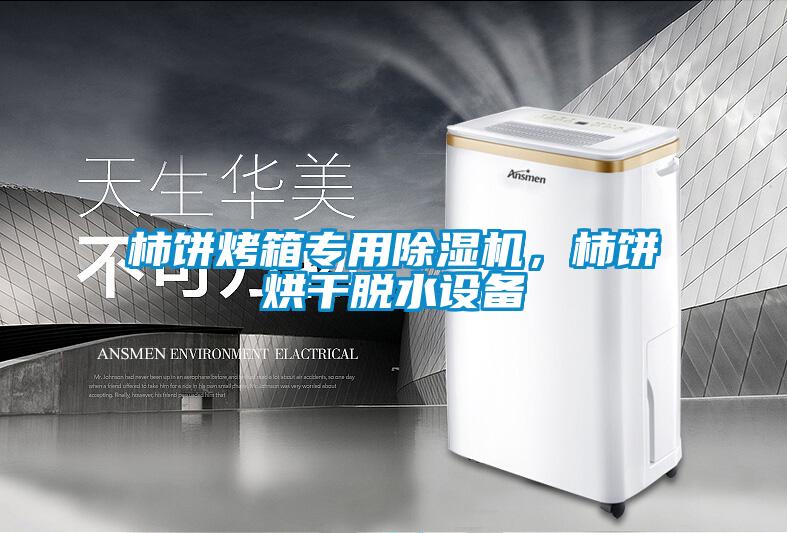 柿饼烤箱专用除湿机，柿饼烘干脱水设备