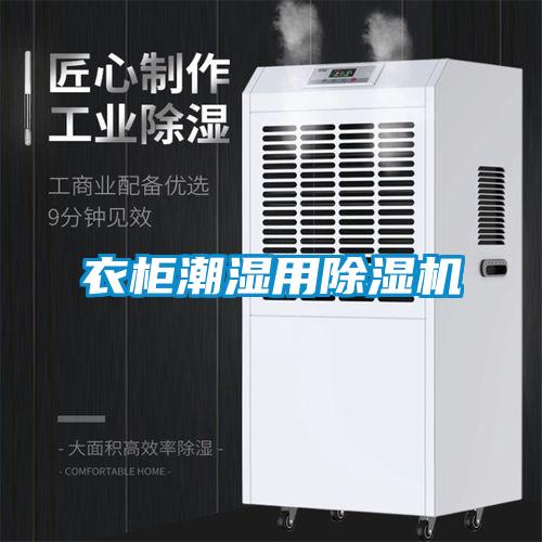 衣柜潮湿用除湿机
