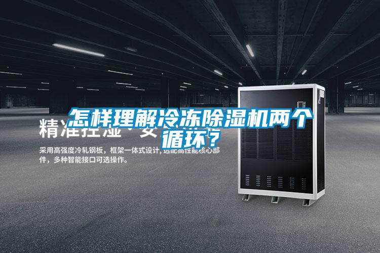 怎样理解冷冻除湿机两个循环？