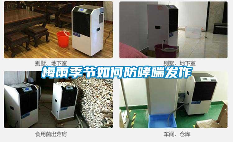 梅雨季节如何防哮喘发作