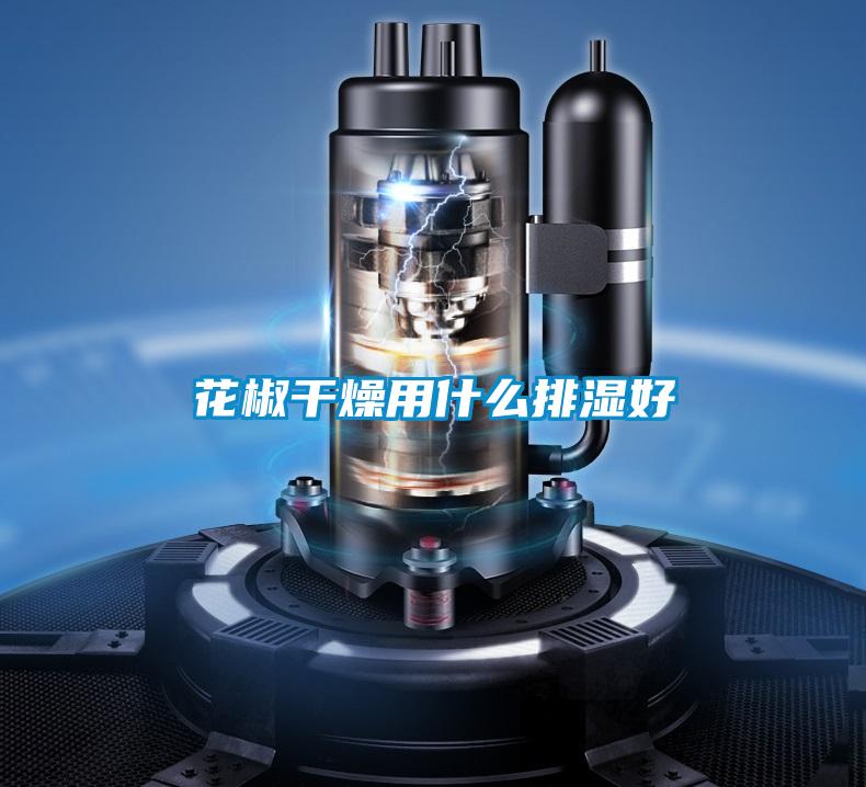 花椒干燥用什么排湿好