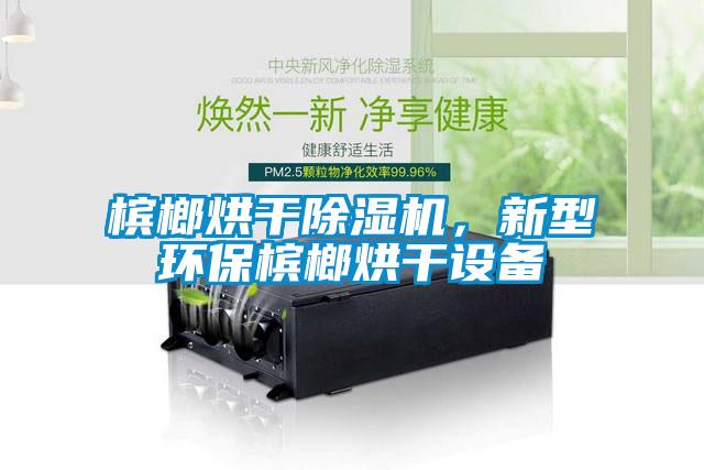 槟榔烘干除湿机，新型环保槟榔烘干设备