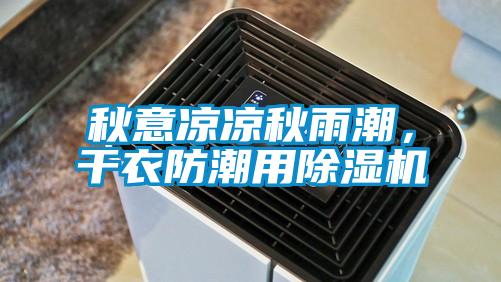 秋意凉凉秋雨潮，干衣防潮用除湿机