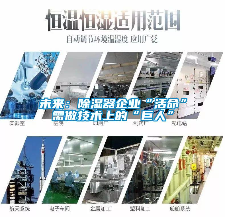 未来:除湿器企业“活命”需做技术上的“巨人”