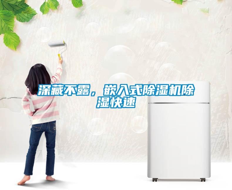 深藏不露，嵌入式除湿机除湿快速