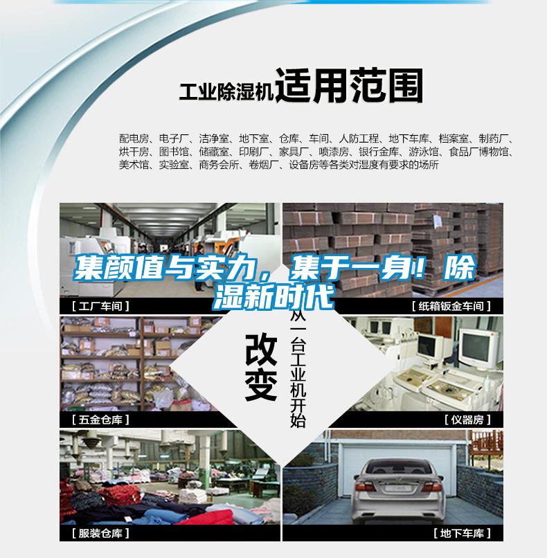 集颜值与实力，集于一身！除湿新时代