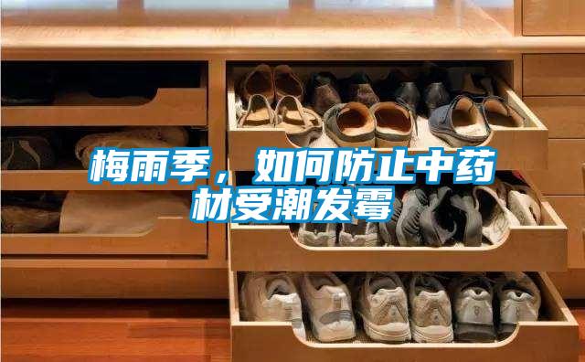 梅雨季，如何防止中药材受潮发霉