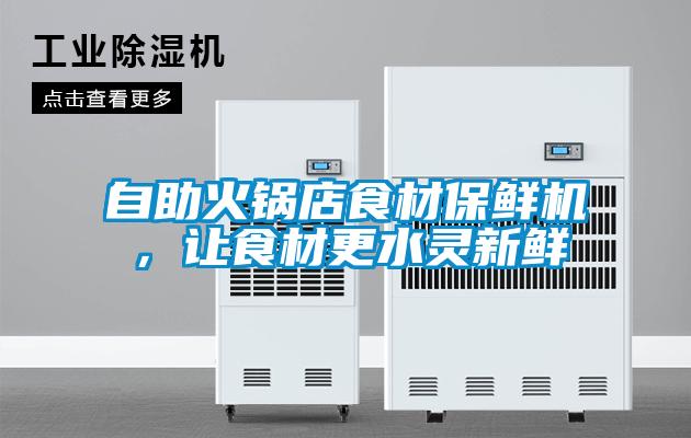 自助火锅店食材保鲜机，让食材更水灵新鲜