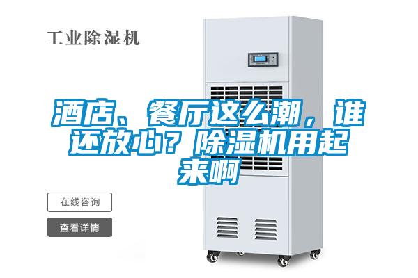 酒店、餐厅这么潮，谁还放心？除湿机用起来啊