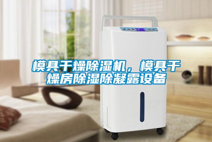 模具干燥除湿机，模具干燥房除湿除凝露设备
