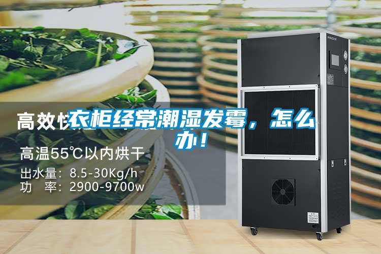 衣柜经常潮湿发霉，怎么办！