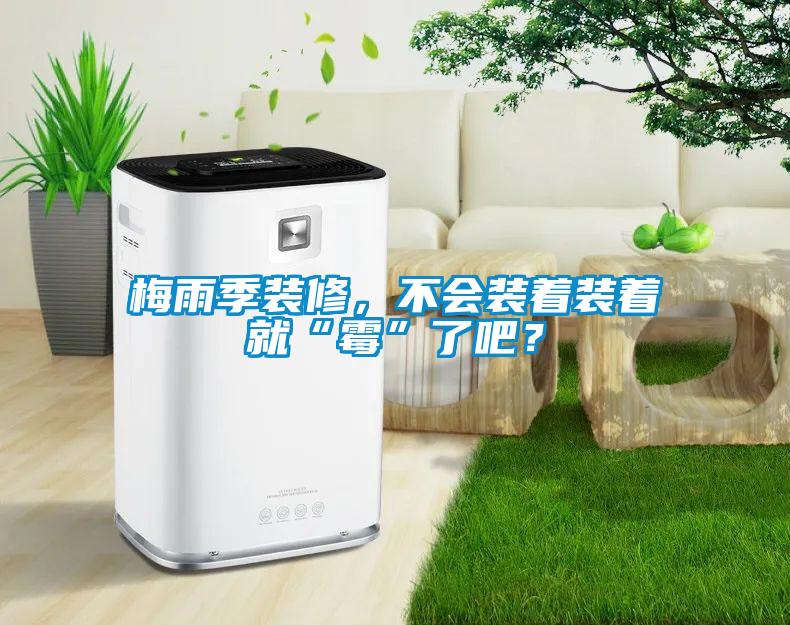 梅雨季装修，不会装着装着就“霉”了吧？