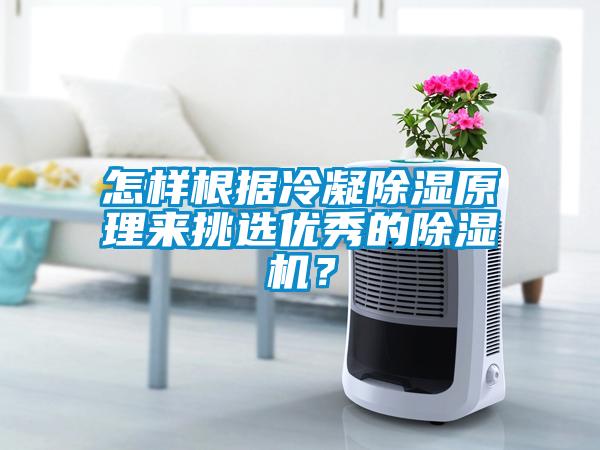 怎样根据冷凝除湿原理来挑选优秀的除湿机？
