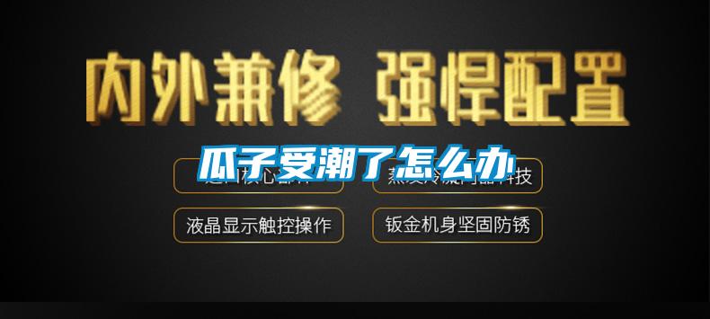 瓜子受潮了怎么办