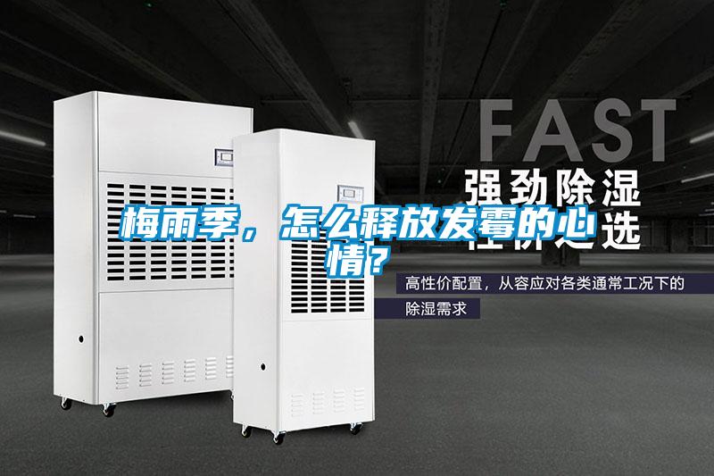 梅雨季，怎么释放发霉的心情？