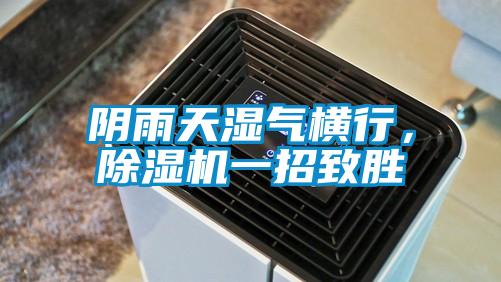 阴雨天湿气横行，除湿机一招致胜