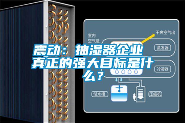 震动：抽湿器企业 真正的强大目标是什么？