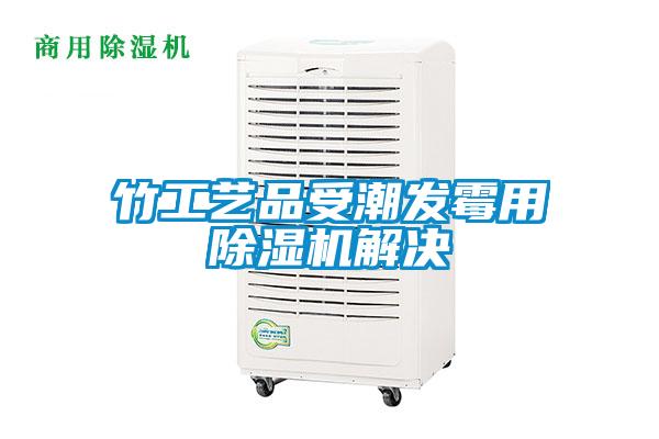 竹工艺品受潮发霉用除湿机解决