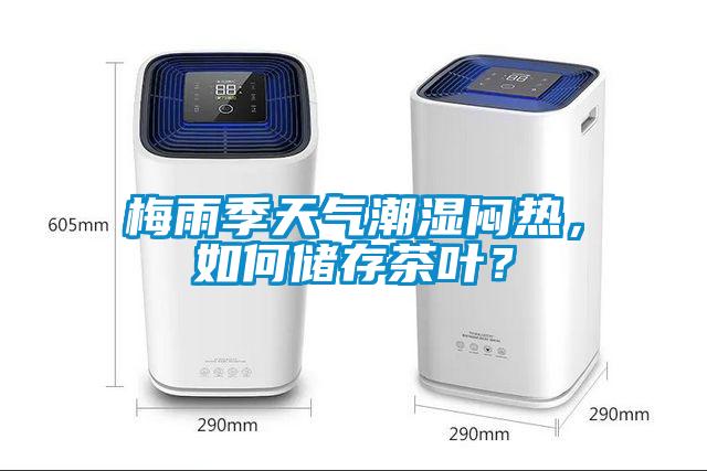 梅雨季天气潮湿闷热，如何储存茶叶？