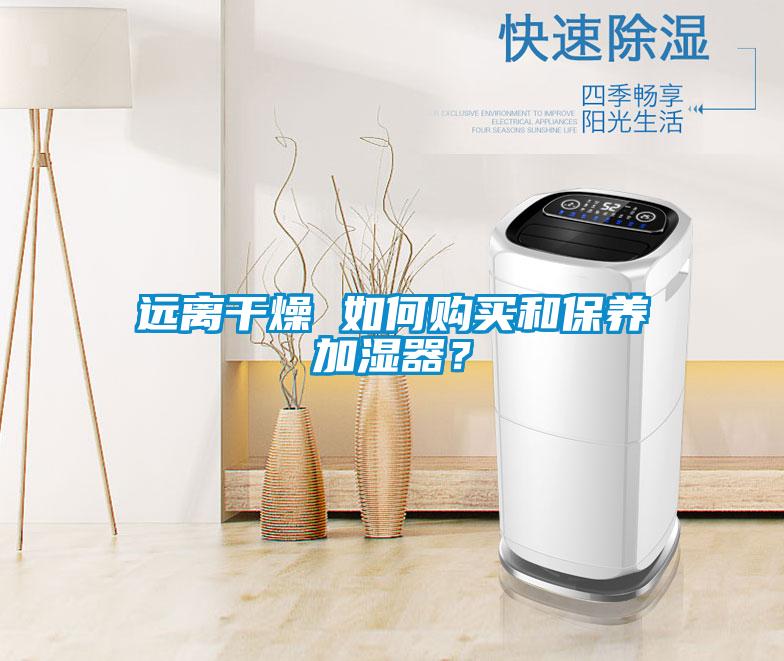 远离干燥 如何购买和保养加湿器？