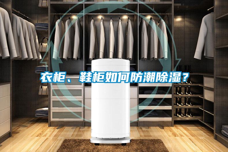 衣柜、鞋柜如何防潮除湿？