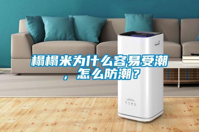榻榻米为什么容易受潮，怎么防潮？